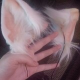 GuokUHoWYAATbkB6517933b229a8110be656307dd5756f8